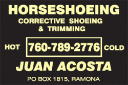 Acosta-Juan-Horseshoe-250x166
